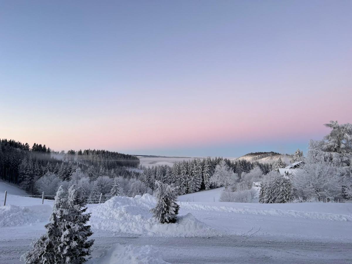 berghotel-lenneplatze-winterberg-photo-4