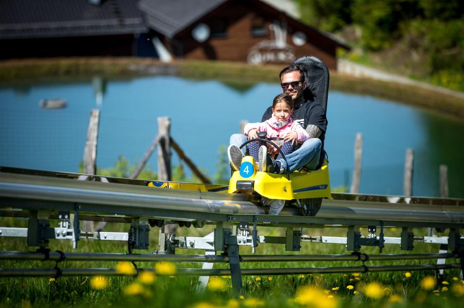 sight_summer-toboggan-run-herrloh-blitz-in-winterberg_n72590-149364-1_l